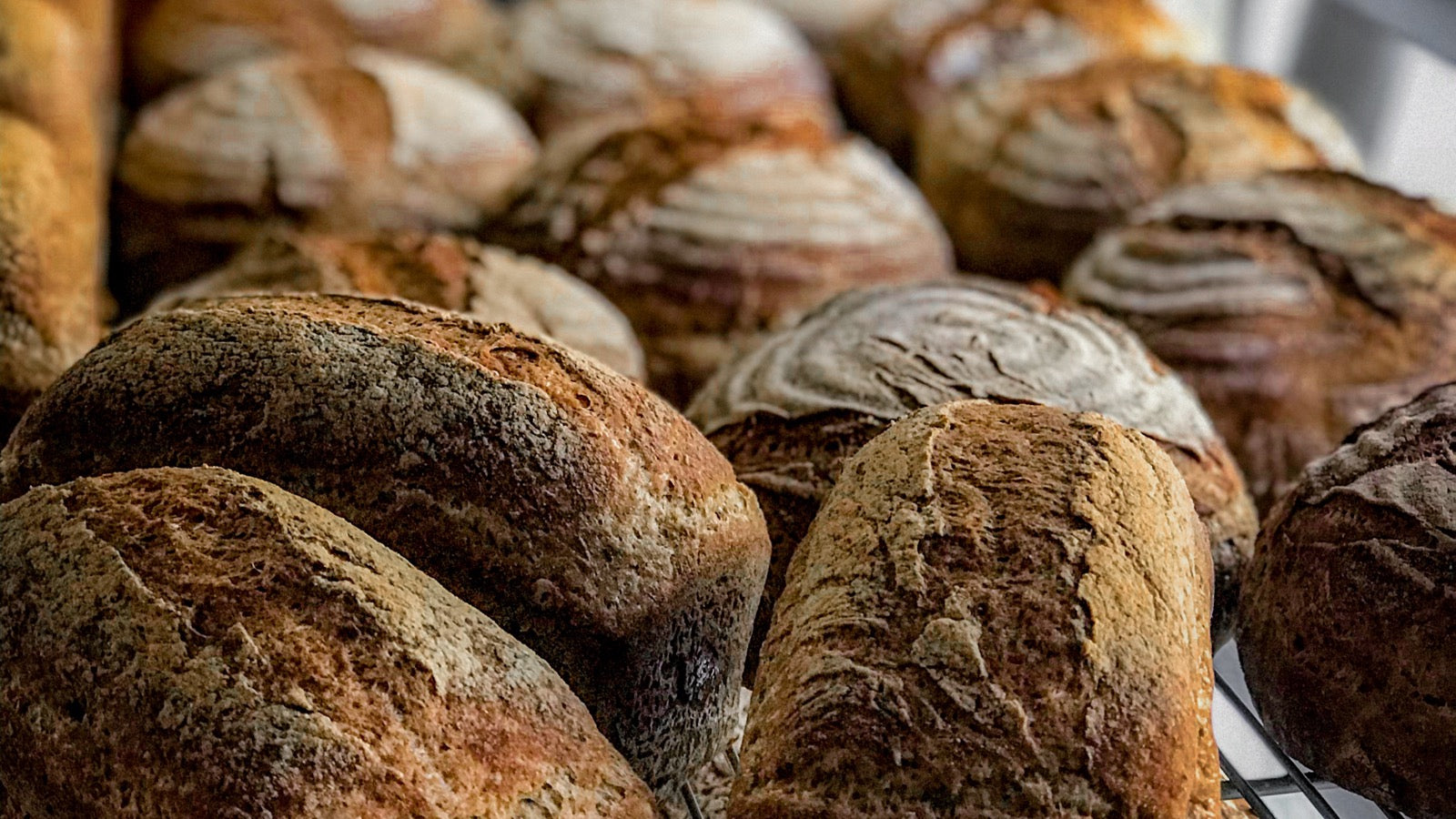 Gluten free loaves from The Bakery by Knife & Fork on shop shelves