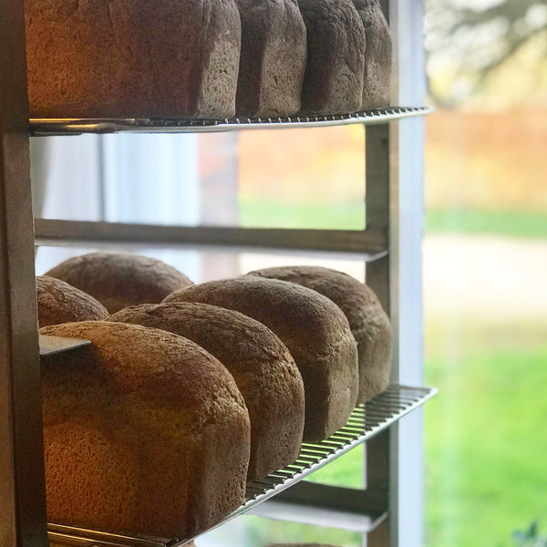 gluten free buckwheat & teff sandwich loaf