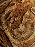 Sourdough loaf - The bakery by Knife & Fork